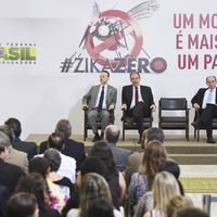 Em cerimônia no Palácio do Planalto, foram anunciados investimentos de R$ 649 milhões contra o mosquito (Foto: João Neto/MEC)
