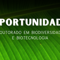Doutorado em biodiversidade e biotecnologia